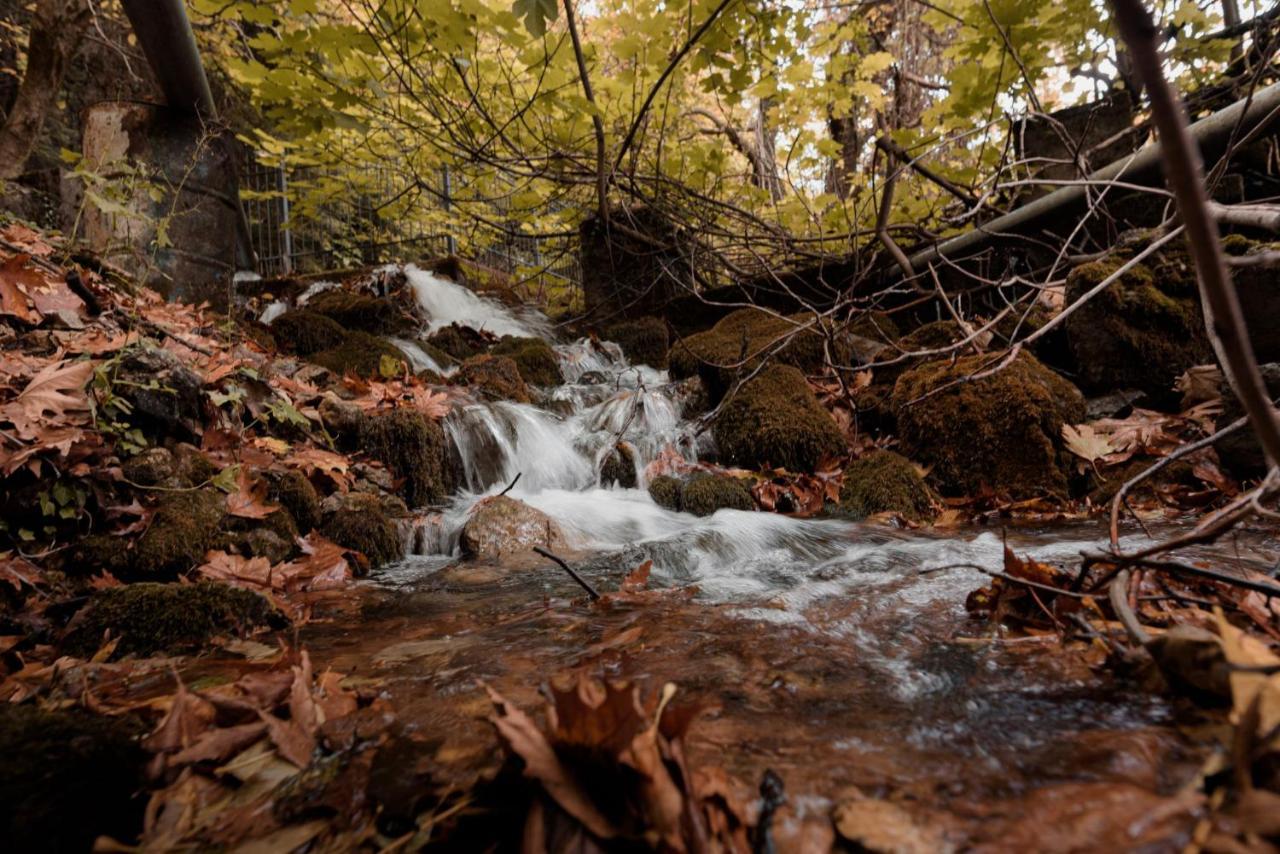 Parnassus Dreamwood Chalet Eptálofos Zewnętrze zdjęcie